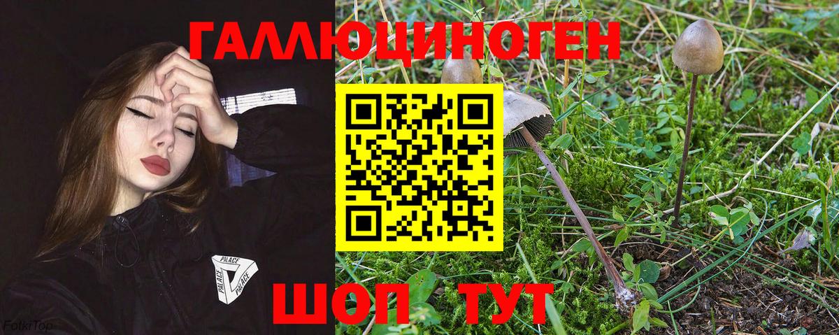 Псилоцибиновые грибы MAGIC MUSHROOMS  Вход с VPN  Псилоцибиновые грибы Psilocybe  Ивантеевка 
