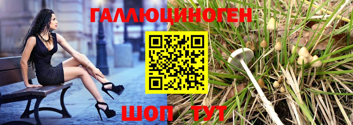 Псилоцибиновые грибы Psilocybine cubensis Ивантеевка
